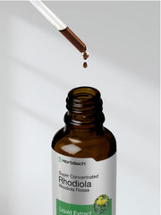 Golden root illustration representing Rhodiola Rosea