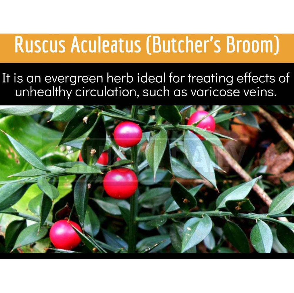 Horse chestnut extract for vein health