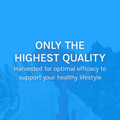 Mushroom trio of Chaga, Reishi, and Cordyceps for respiratory support