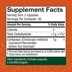 Close-up of Cordyceps mushroom capsules