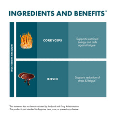 CordyChi Powder ingredients visualization
