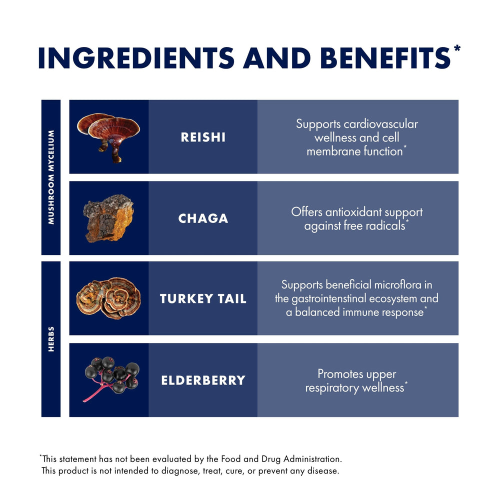 Elderberry juice concentrate and extract powder ingredients