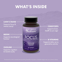 Brain health and focus concept associated with the product