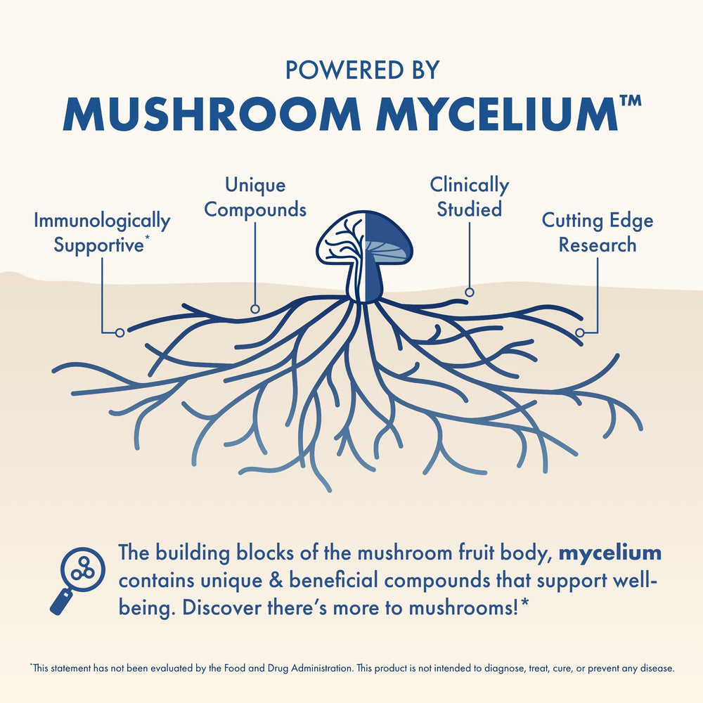 Ingredients highlight: Magnesium, Lion's Mane, and GABA