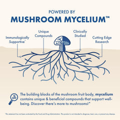 Ingredients highlight: Magnesium, Lion's Mane, and GABA