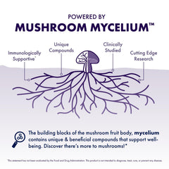 Cordyceps and Reishi mushrooms arranged for brain health