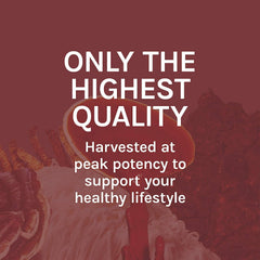USA-grown organic mushroom ingredients certification seal