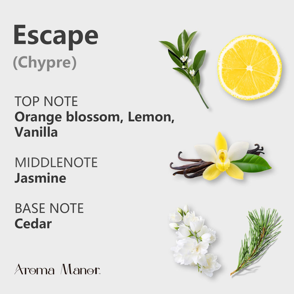 Hotel-inspired luxury fragrance diffuser image