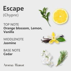 Hotel-inspired luxury fragrance diffuser image