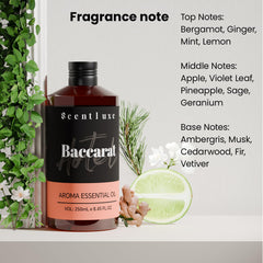 In-room luxury setup with diffuser in a hotel-like ambiance