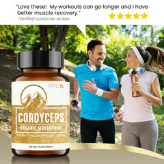 Beta-glucans and triterpenes in Cordyceps supplement