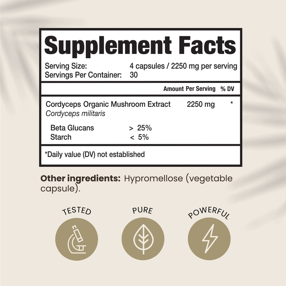 Close-up of Cordyceps Militaris mushroom powder for energy and immunity
