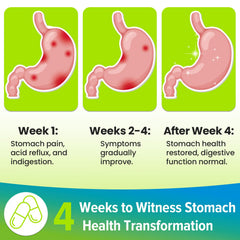 Lactobacillus reuteri probiotic strain depiction