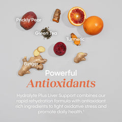 Antioxidants and vitamins B12 and B6 in Hydralyte Liver Support
