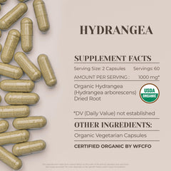 Dried Hydrangea arborescens root used in organic capsules