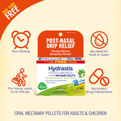 Hydrastis Canadensis 6C pellets dissolving in the mouth