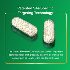 IBGARD ultrapure peppermint oil illustration emphasizes gut balance support.