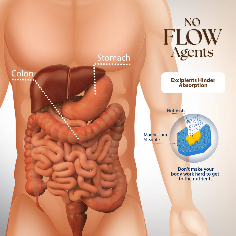 IBS digestive comfort concept image