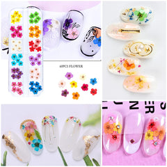 iFancer Flower Nail Charms closeup of natural dried flowers in bright hues for resin crafts
