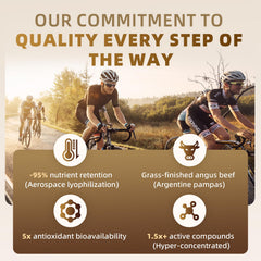 Iron, folate and B12 vitamins for daily vitality