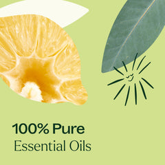 Frankincense Serrata essential oil in Immune Aid blend