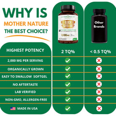 Illustration of immune support and digestive health benefits