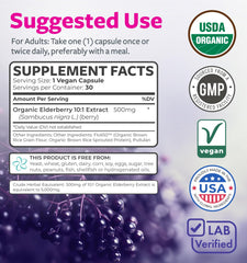 Graphic illustrating immune support with elderberries