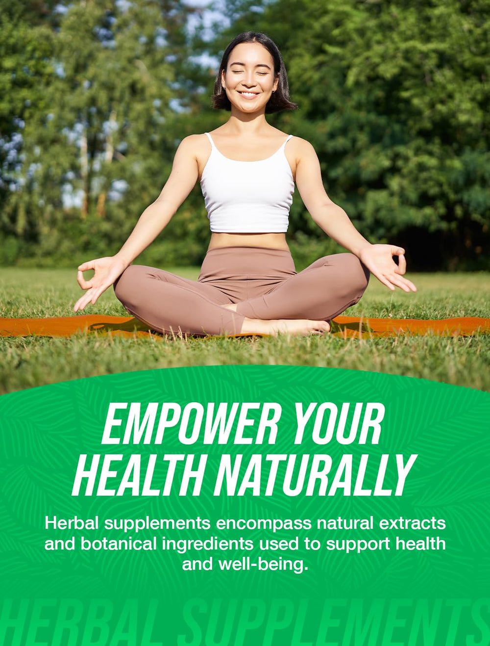 Immune support elderberry extract powder