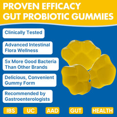 Digestive and immune support from probiotic gummies
