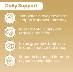 Lions Mane mushroom promoting immune system health.