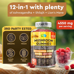 Immune support mushroom blend with Reishi and Maitake