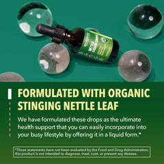 Close-up of nettle compounds highlighting immune support