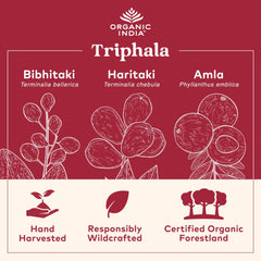 Immune support vegan capsules imagery