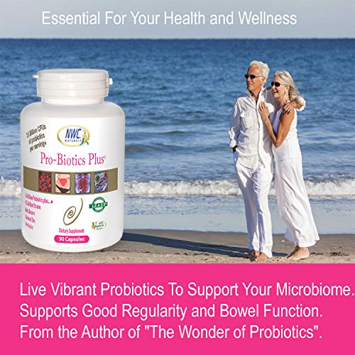 Immune support and digestive health concept