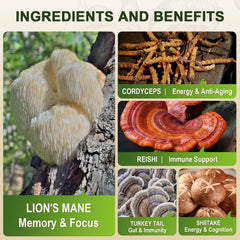 Immune support from Lions Mane supplement