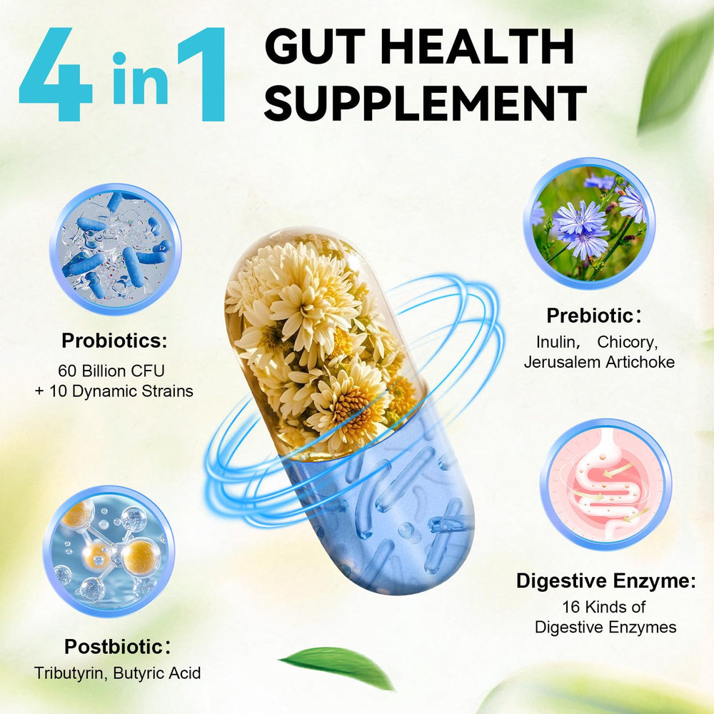 Illustration linking gut health to immunity and skin health