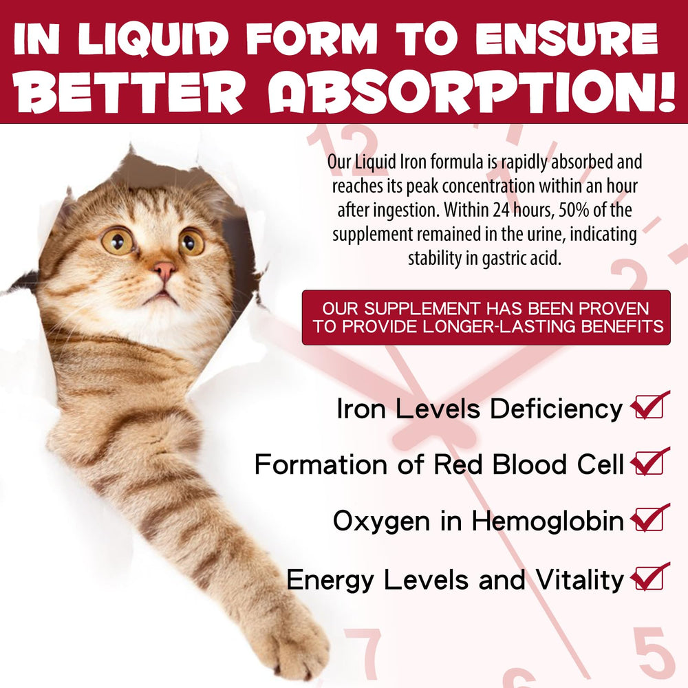 Label displaying folate and vitamin B12 on iron supplement