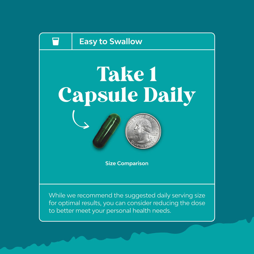 Chlorophyll capsules ingredients mint and parsley