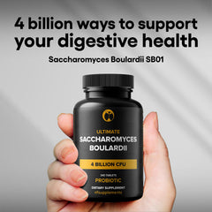 Close-up of ingredients and probiotic strain on label