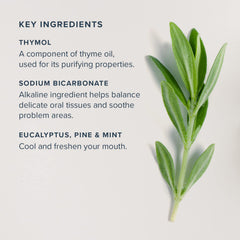 Sodium bicarbonate (baking soda) illustration