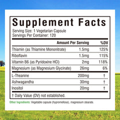Close-up of L-Theanine 200 mg text on bottle label