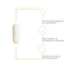 Illustration of Lactobacillus rhamnosus GR-1 and Lactobacillus reuteri RC-14 strains