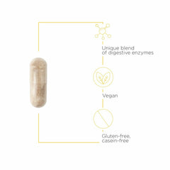 Graphic showing gluten and casein digestion support