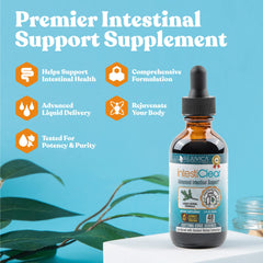 Ginger root for intestinal support in IntestiClear