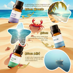 Coastal Linen fragrance oil 10ml bottle from INWICOPH Beach Set