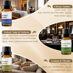 Lemon & Thyme fragrance oil bottle (10ml)
