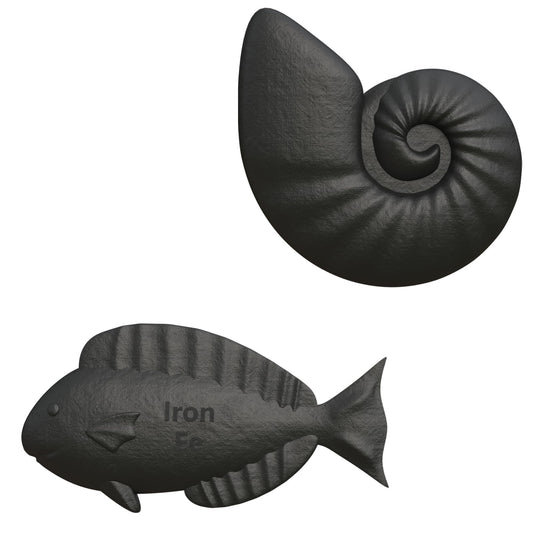 Front view of Iron Fish 2 Pack cast iron cooking tool