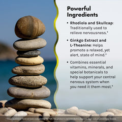 Rhodiola and L-Theanine illustration for calm focus