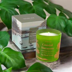 Island Breeze 6oz candle with clean burn and packaging