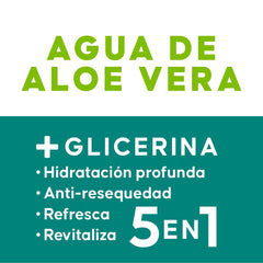 Jaloma Aloe Vera Water bottle with fresh aloe leaves